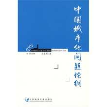 中国城市化问题论纲