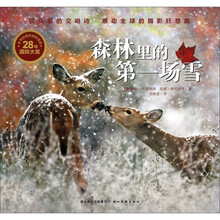 感动全球的摄影狂想曲：森林里的第一场雪
