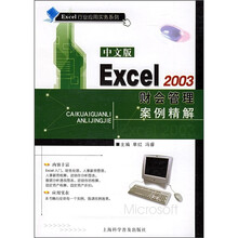 中文版Excel 2003财会管理案例精解