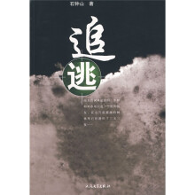 追逃
