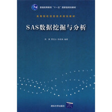 高等院校信息技术规划教材:SAS数据挖掘与分析