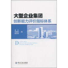 大型企业集团：创新能力评价指标体系