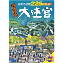异国探险大迷宫(附大迷宫动画VCD光盘)