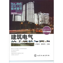 建筑工程技术细节指导丛书:建筑电气技术细节与要点