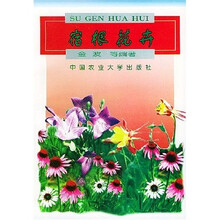 宿根花卉