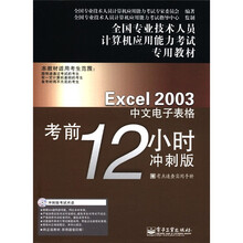全国专业技术人员计算机应用能力考试专用教材：Excel2003中文电子表格考前12小时（冲刺版）（CD-ROM光盘）