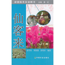 彩图版养花说明书:仙客来