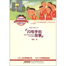 全国优秀儿童文学奖获奖作家精品书系：闪电手的故事