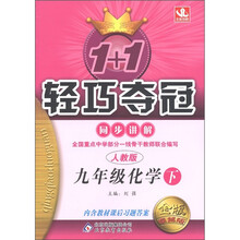 1+1轻巧夺冠·同步讲解：9年级化学（下）（人教版）（金版·卓越版）