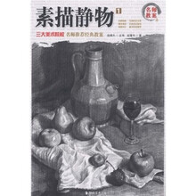 名师教案：素描静物1