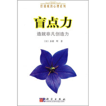 盲点力：造就非凡创造力