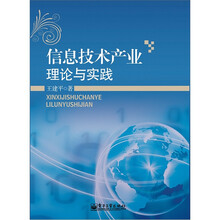 信息技术产业理论与实践