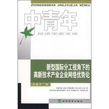 新型国际分工视角下的高新技术产业企业网络优势论