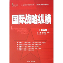 国际战略纵横（第3辑）