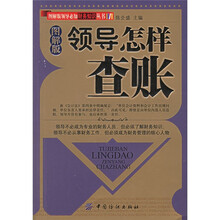 图解版 领导怎样查账