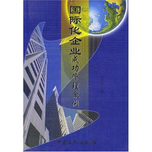 国际化企业成功管理案例