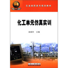 石油高职高专规划教材：化工单元仿真实训