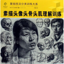 素描头像头骨头肌理解训练