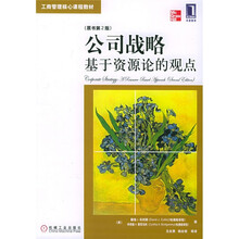 公司战略:基于资源论的观点