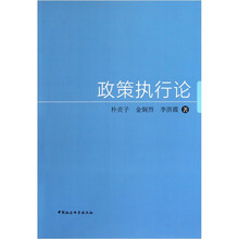 政策执行论