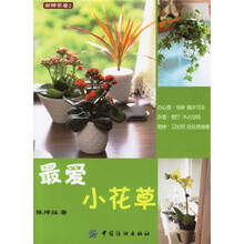 最爱小花草