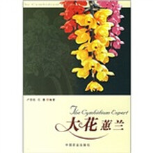 大花蕙兰