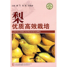 梨优质高效栽培