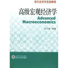 现代经济学高级教程：高级宏观经济学