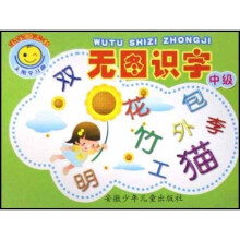 宝宝膝盖书：无图识字（中级）（无图学习版）