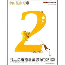 小娇娇系列昆虫读本：中国昆虫记2