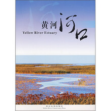 黄河河口