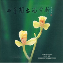四季兰名花赏析