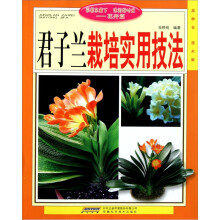 君子兰栽培实用技法