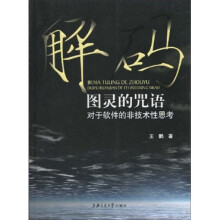 解码图灵的咒语：对于软件的非技术性思考