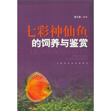 七彩神仙鱼的饲养与鉴赏