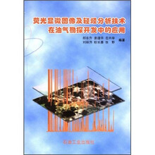 荧光显微图像及轻烃分析技术在油气勘探开发中的应用