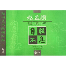 赵孟頫胆巴碑(集字)