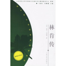 林肯传