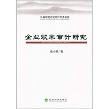 企业效率审计研究