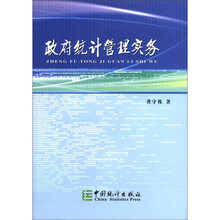 政府统计管理实务