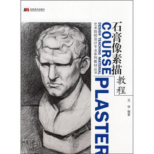 艺术院校设计专业系列教材丛书：石膏像素描教程