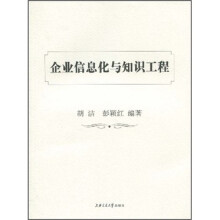 企业信息化与知识工程
