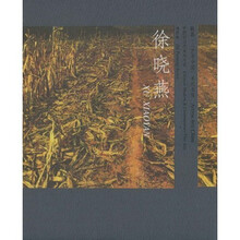徐晓燕:中国当代美术大系 油花卷