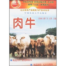 肉牛/无公害农产品高效生产技术丛书
