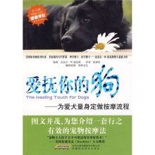 爱抚你的狗:为爱犬量身定做按摩流程