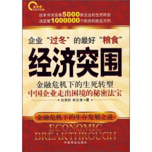 经济突围：金融危机下的生死转型