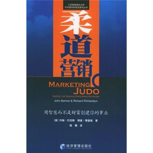 柔道营销:用智慧而不是财富创建你的事业