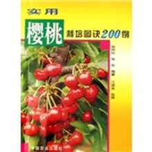 实用樱桃栽培图诀200例