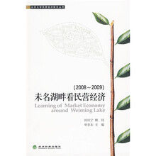 未名湖畔看民营经济（2008-2009）