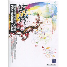 缤纷：Photoshop CS4尖端视觉特效技术精解（附赠DVD-ROM光盘1张）